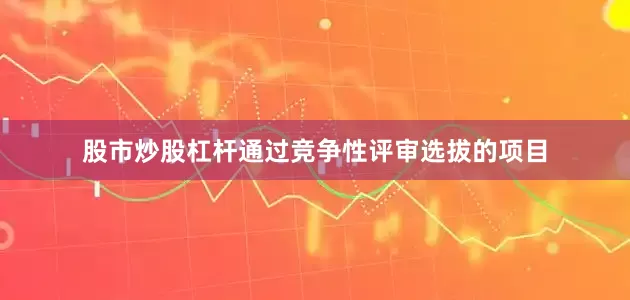股市炒股杠杆通过竞争性评审选拔的项目