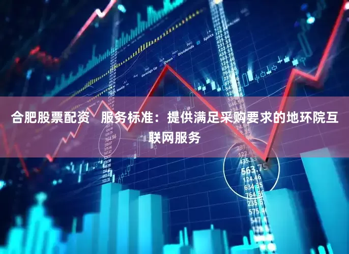 合肥股票配资   服务标准：提供满足采购要求的地环院互联网服务