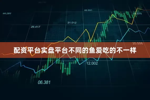 配资平台实盘平台不同的鱼爱吃的不一样