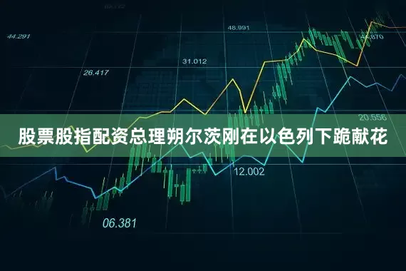 股票股指配资总理朔尔茨刚在以色列下跪献花