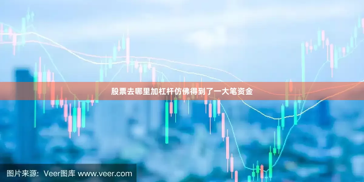 股票去哪里加杠杆仿佛得到了一大笔资金