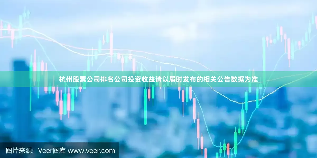 杭州股票公司排名公司投资收益请以届时发布的相关公告数据为准